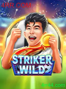 Descubra o Mundo Fascinante de StrikerWILD: Regras e Dicas Essenciais